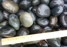 mexican-beach-pebble